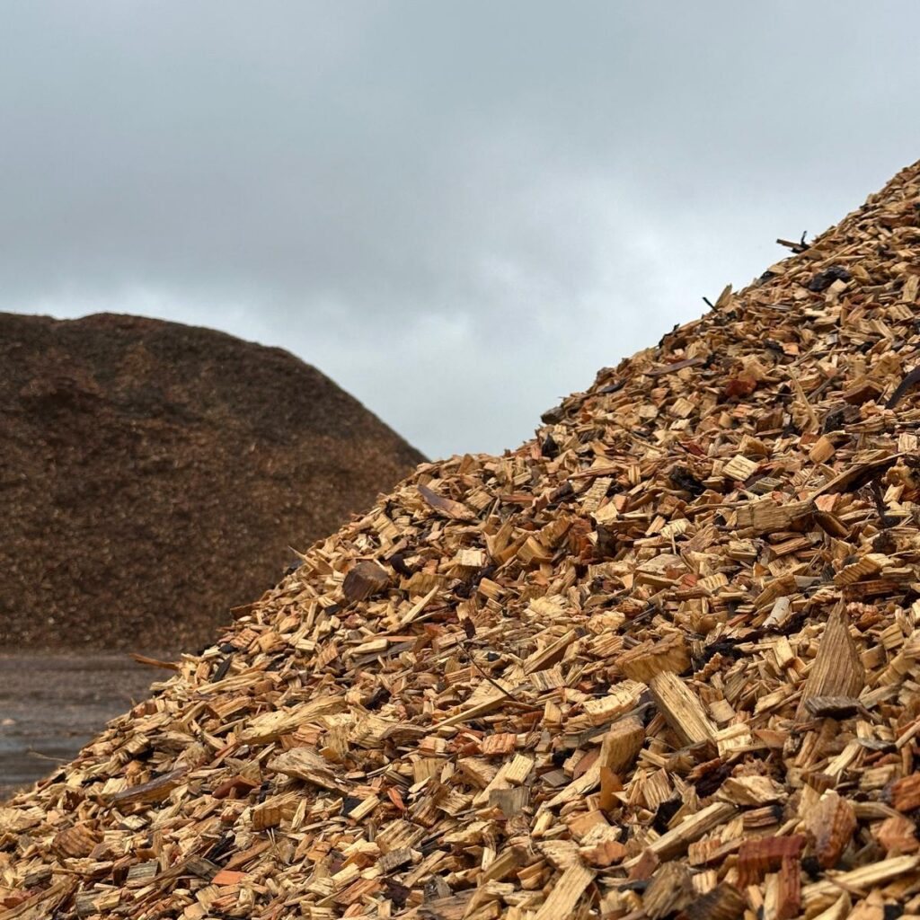 87 E1761836994662 1024x1024